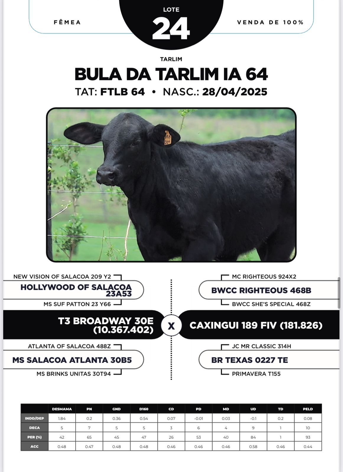 Foto (100%) BULA DA TARLIM IA 64