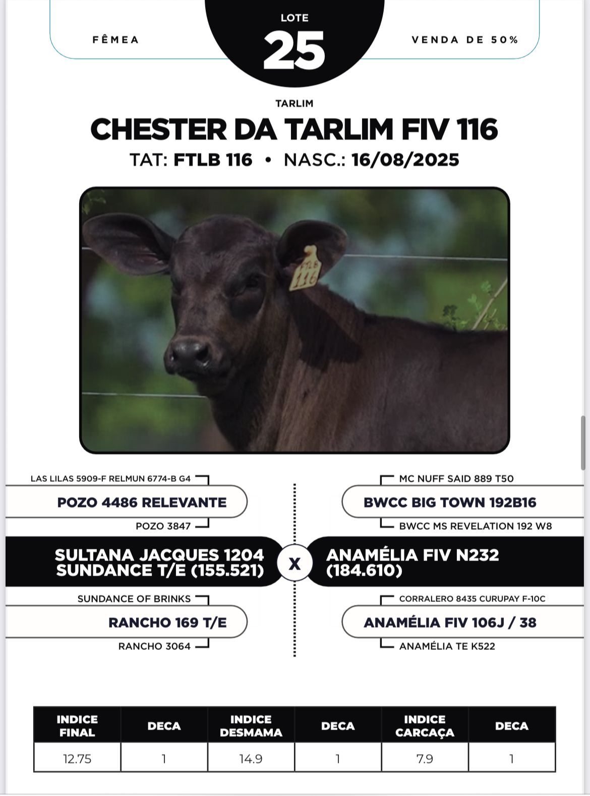 Foto (50.0%) CHESTER DA TARLIM