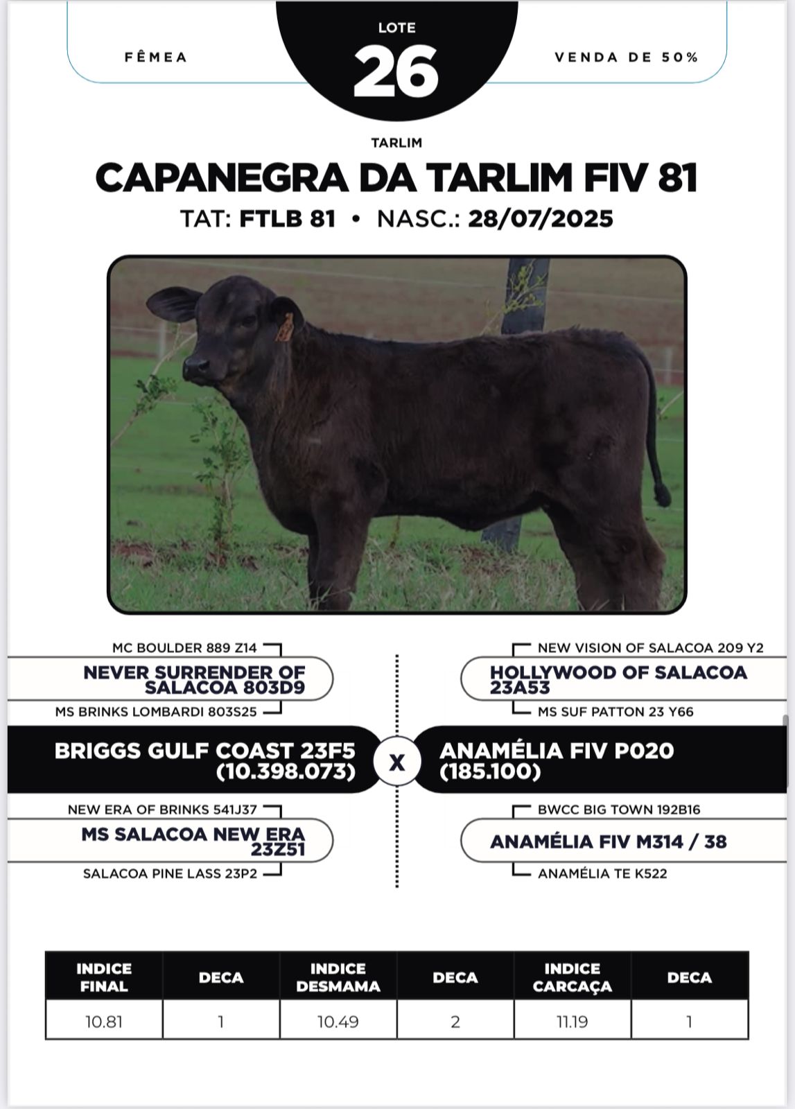 Foto (50.0%) CAPANEGRA DA TARLIM FIV 81