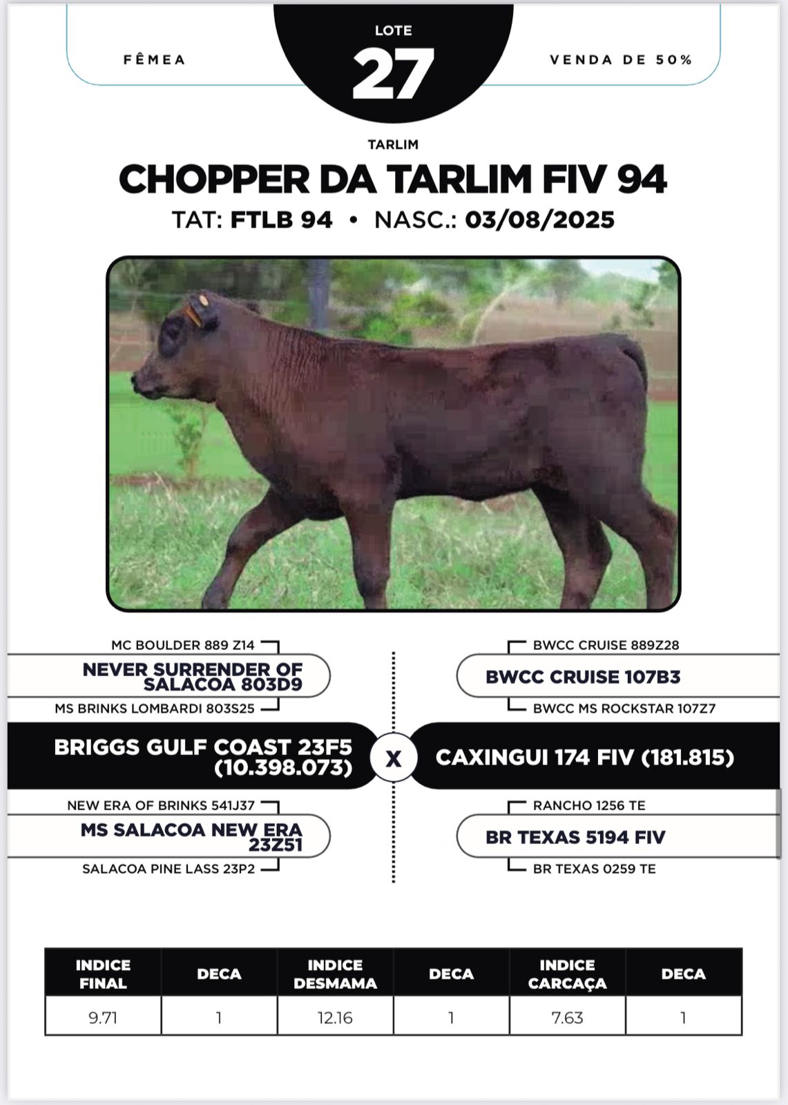Foto (50.0%) CHOPPER DA TARLIM FIV 94