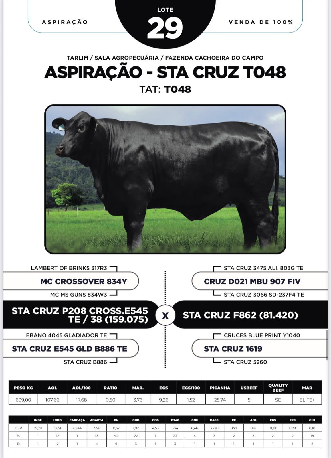 Foto (100%) ASPIRAÇÃO - STA CRUZ T048