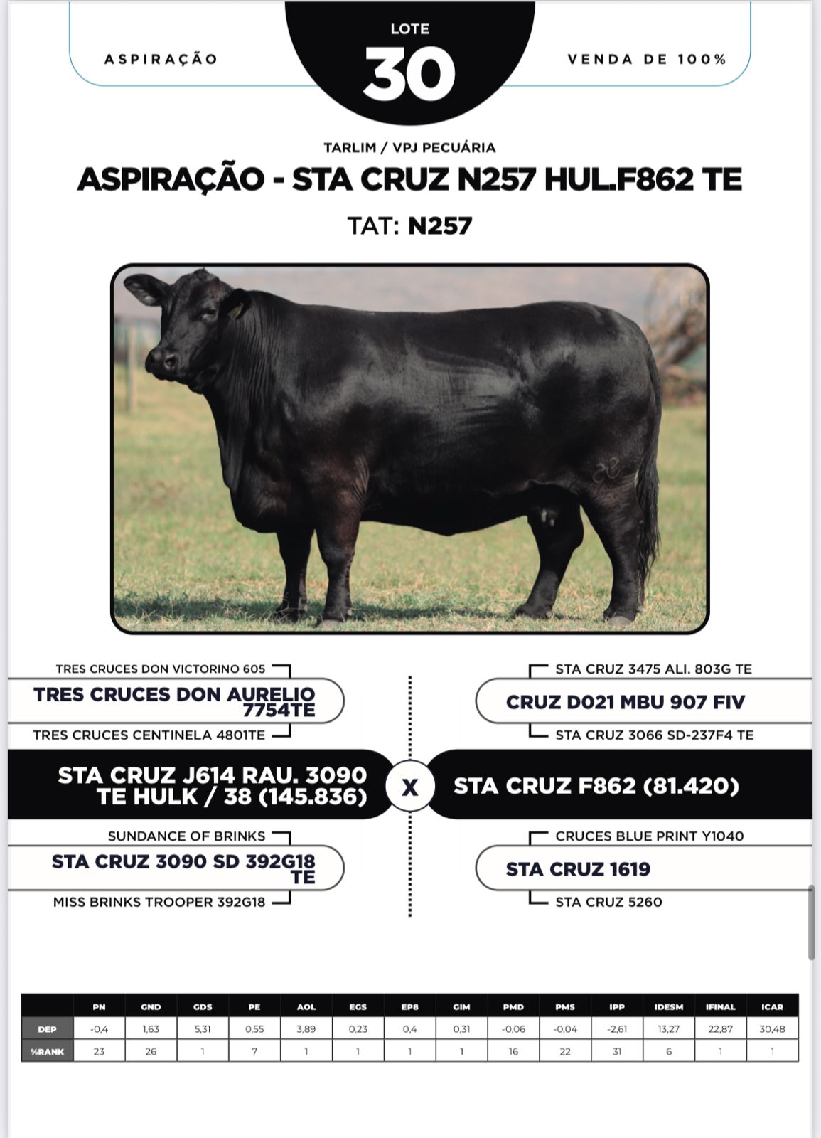 Foto (100%) ASPIRAÇÃO - STA CRUZ N257 HULF862 TE