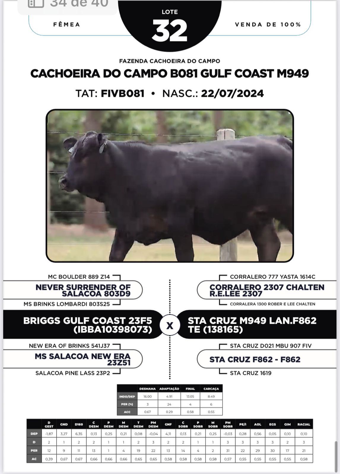 Foto (100%) CACHOEIRA DO CAMPO B081 GULF COAST M949