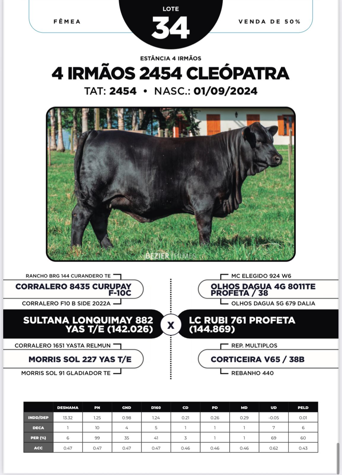 Foto (50.0%) 4 IRMÃOS 2454 CLEÓPATRA