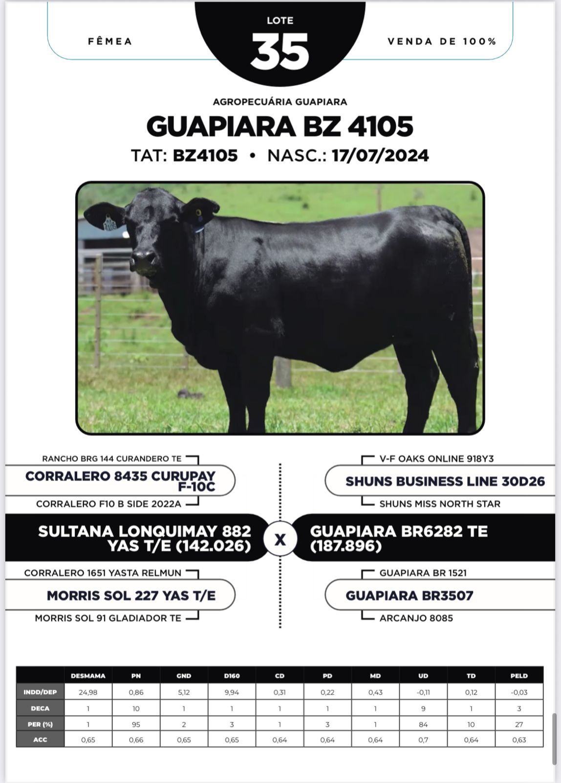 Foto (100%) GUAPIARA BZ 4105