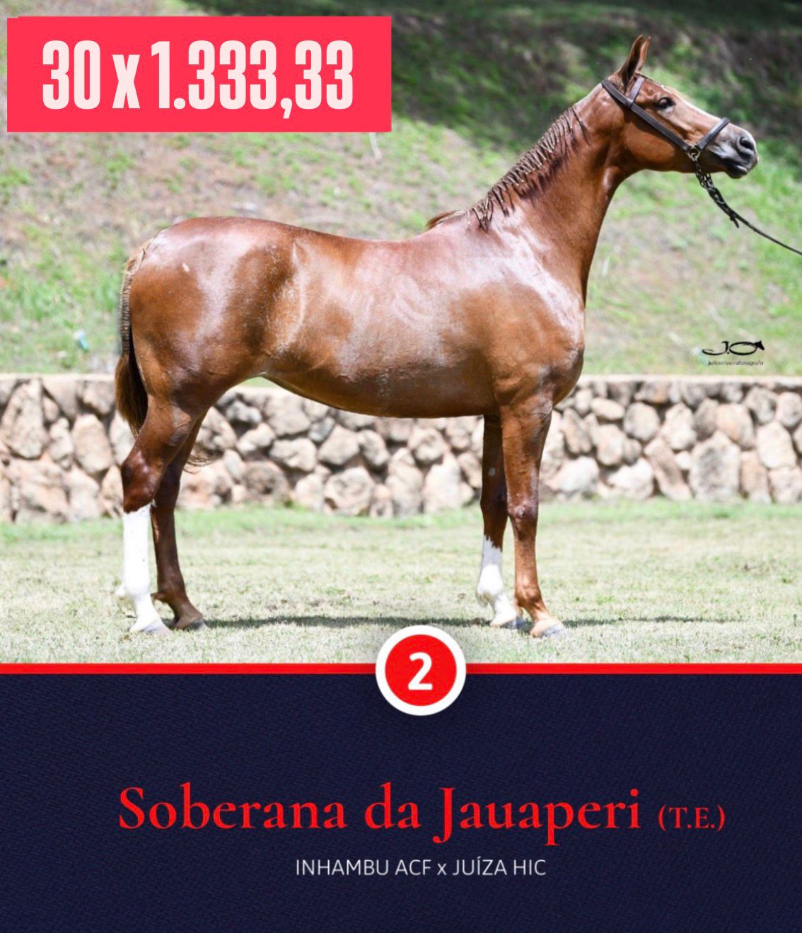 Foto SOBERANA DA JAUAPERI (T.E.)