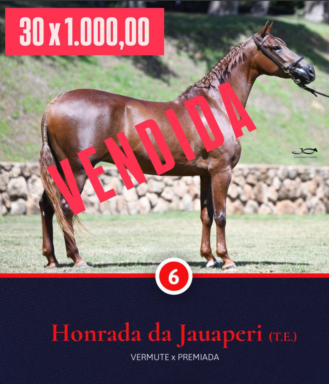 Foto HONRADA DA JAUAPERI (T.E.)