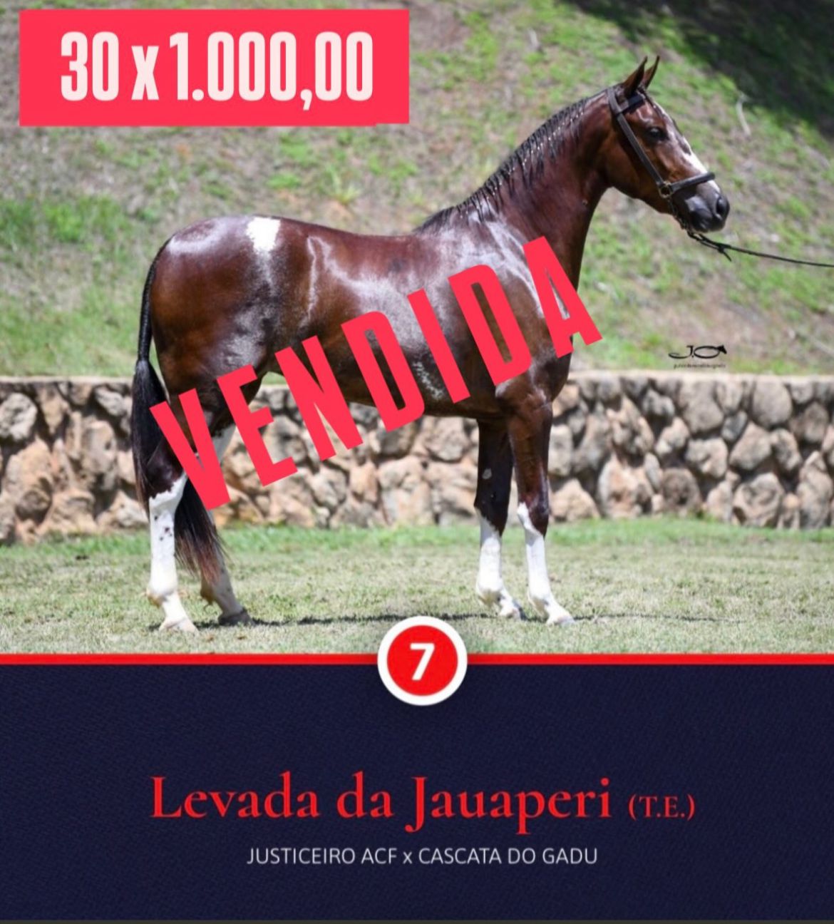 Foto LEVADA DA JAUAPERI (T.E.)