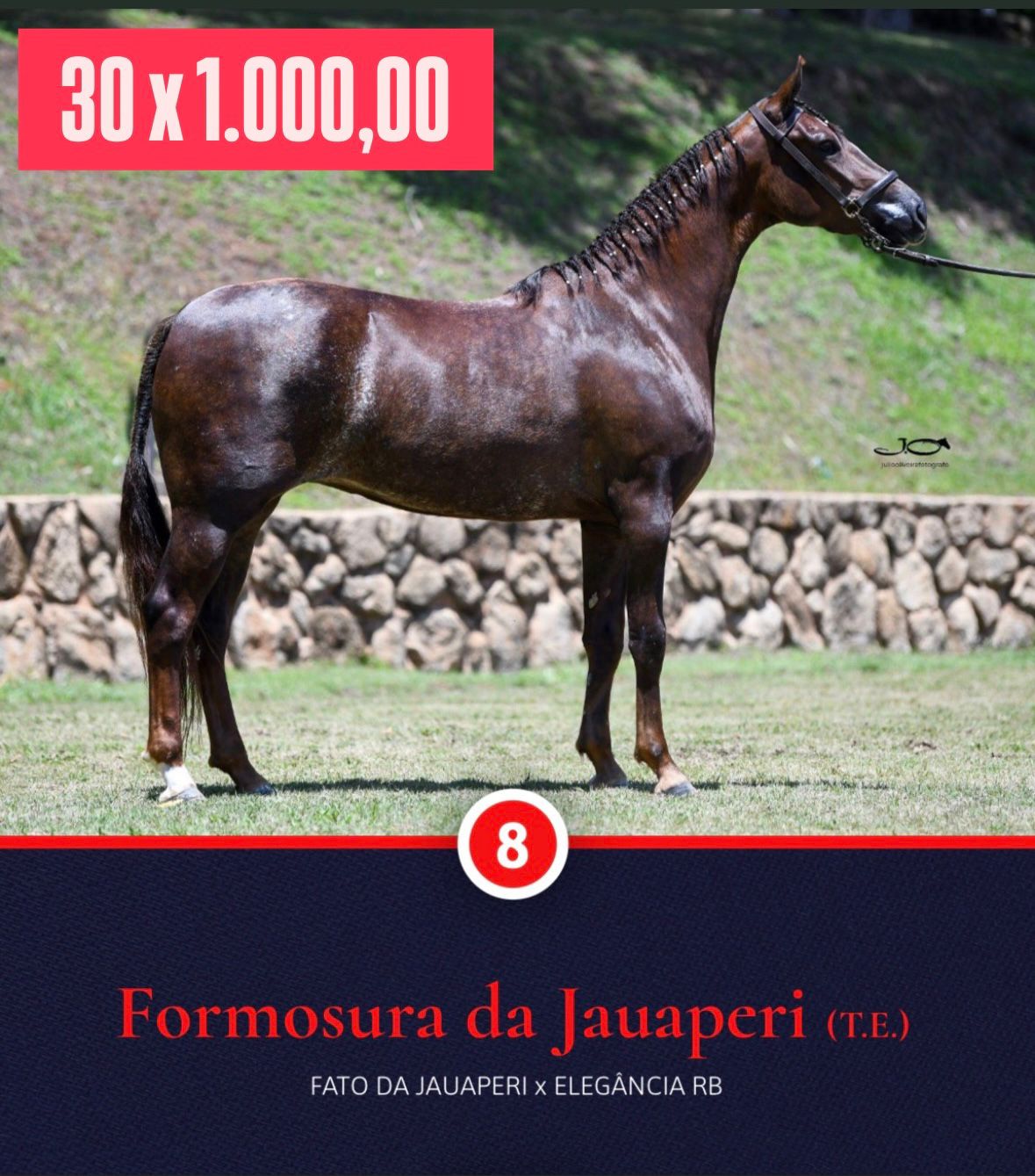 Foto FORMOSURA DA JAUAPERI (T.E.)