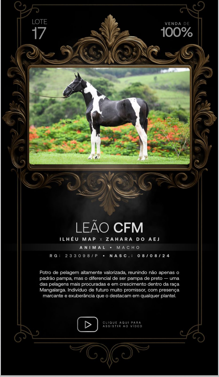 Foto (100.0%) LEÃO CFM