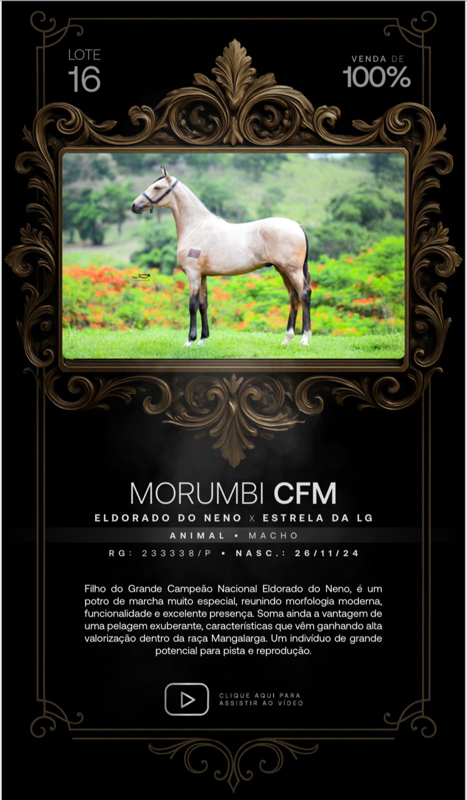 Foto (100.0%) MORUMBI CFM