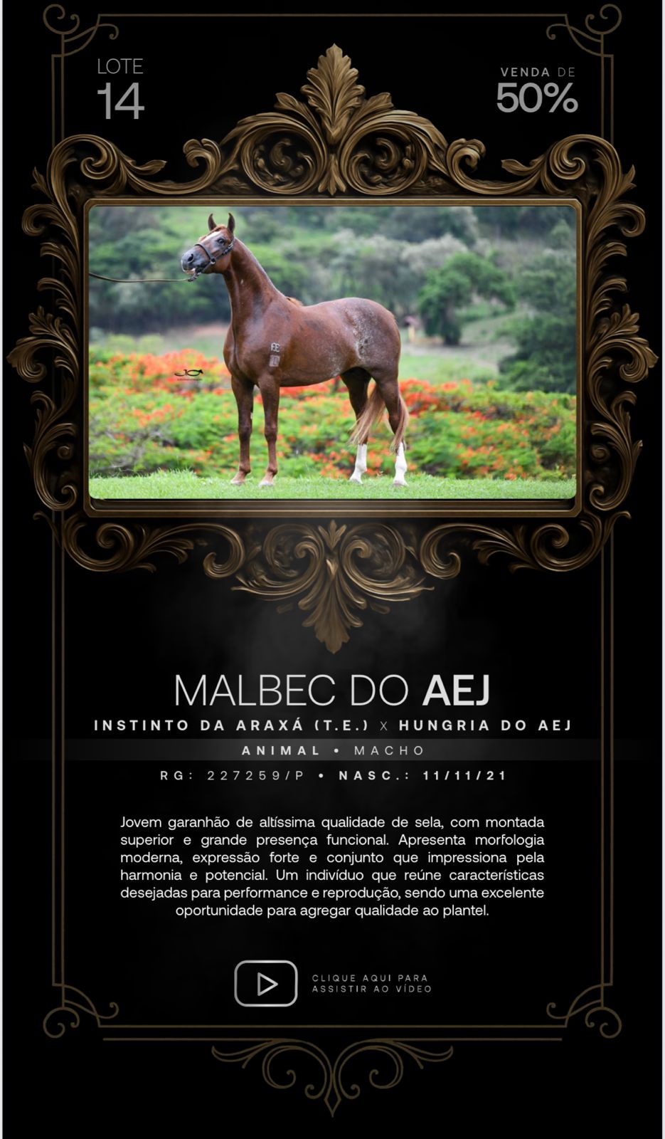 Foto (50.0%) MALBEC DO AEJ