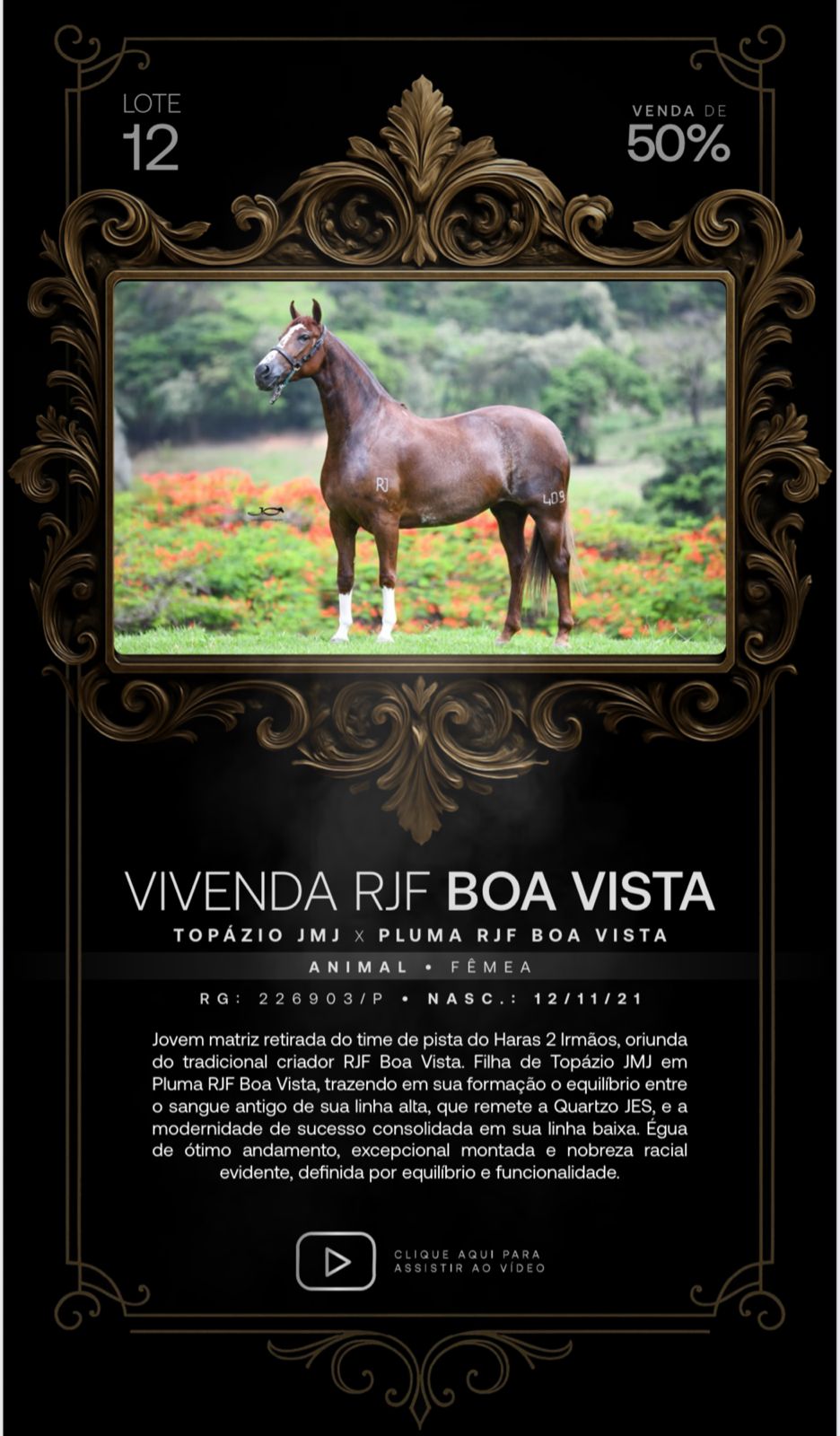 Foto (50.0%) VIVENDA RJF BOA VISTA