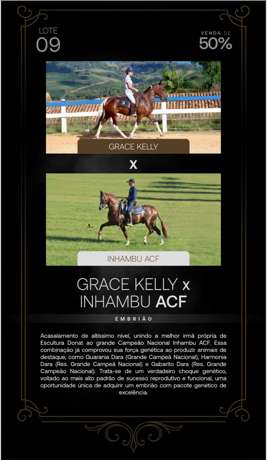 Foto (50.0%) EMBRIÃO GRACE KELLY X INHAMBU ACF