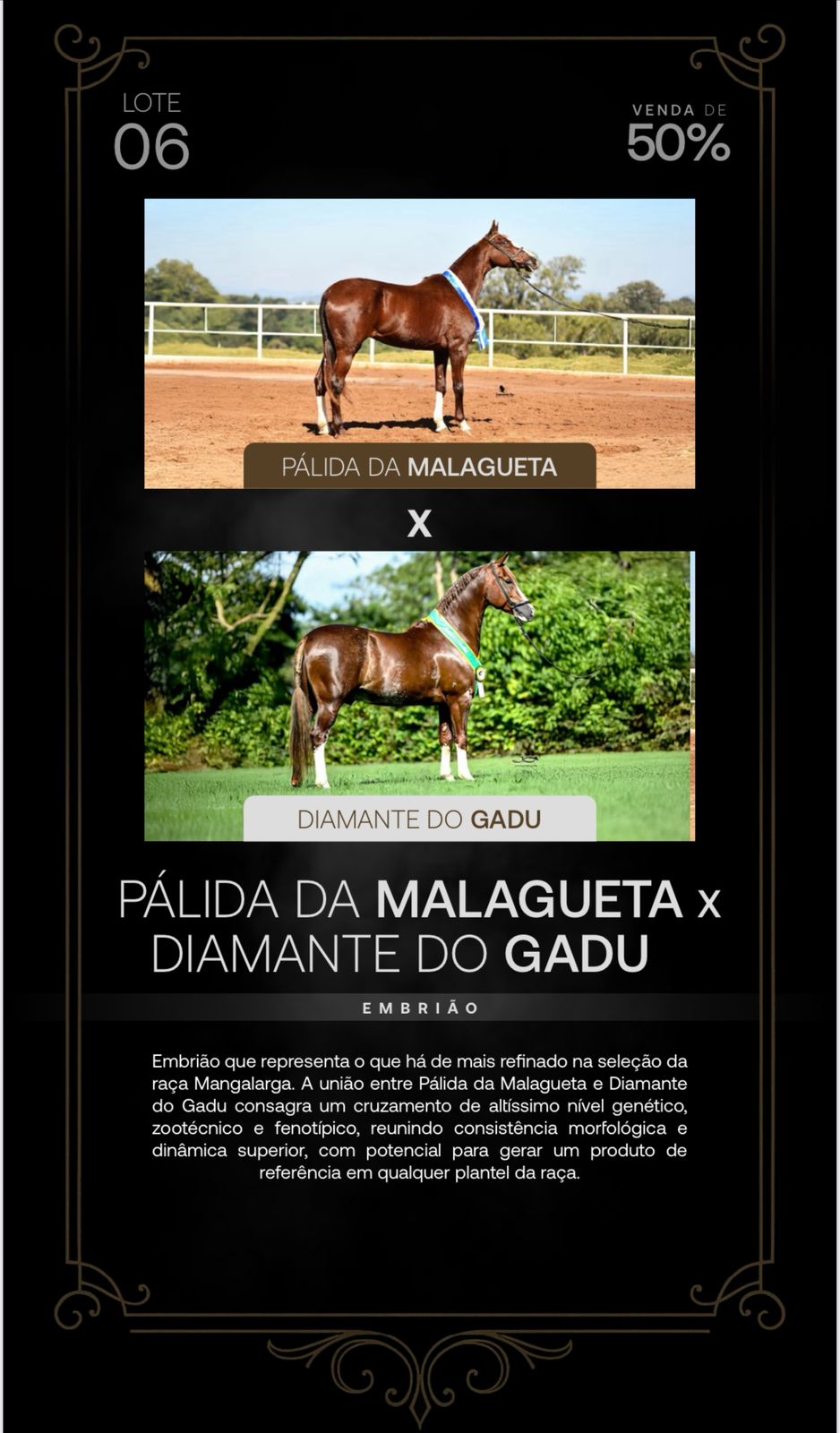Foto (50.0%) EMBRIÃO PÁLIDA DA MALAGUETA X DIAMANTE DO GADU
