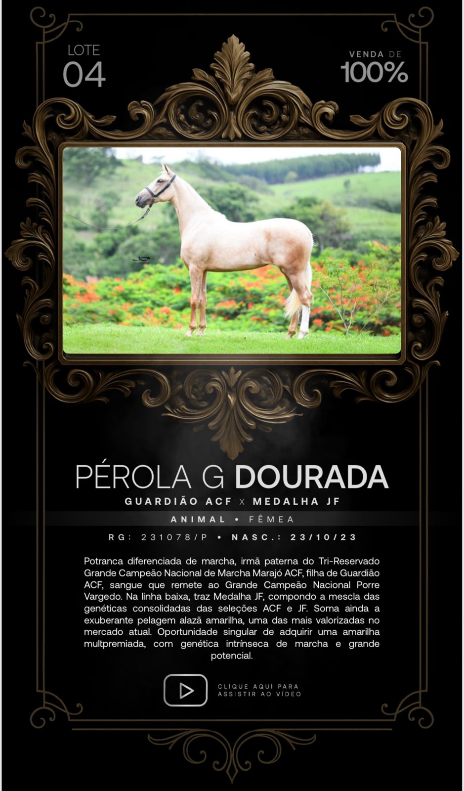 Foto (100.0%) PÉROLA G DOURADA