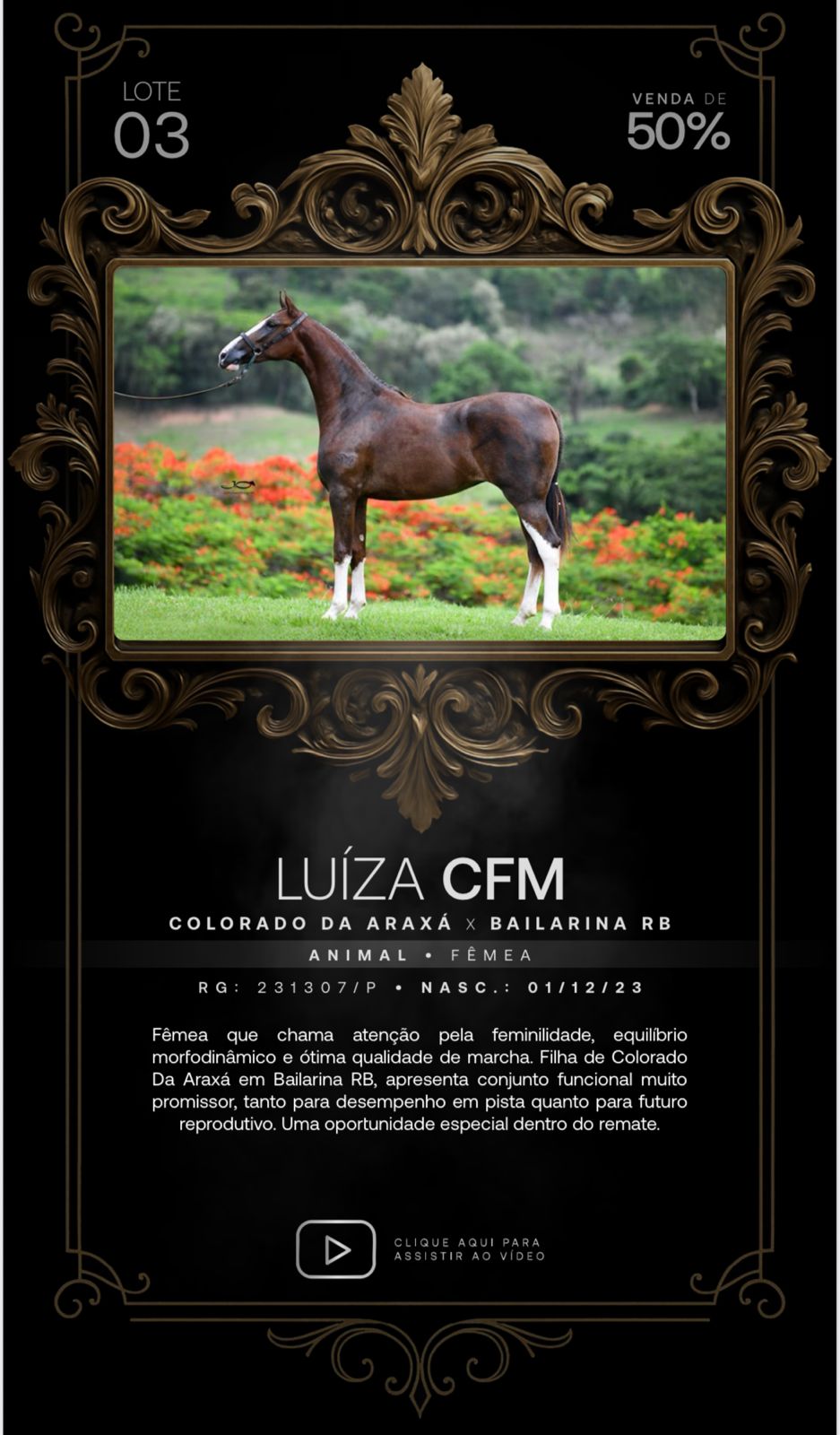 Foto (50.0%) LUÍZA CFM