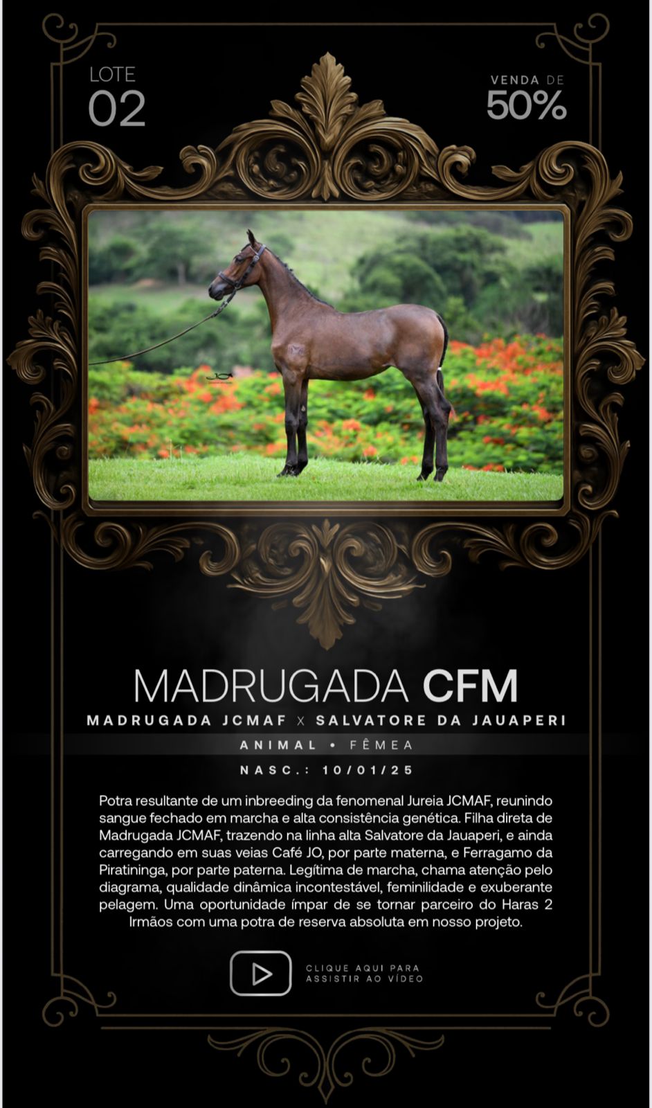 Foto (50.0%) MADRUGADA CFM