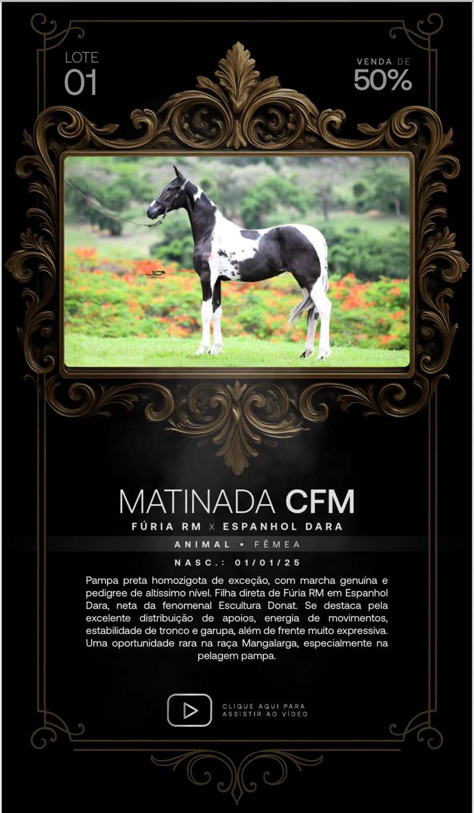 Foto (50.0%) MATINADA CFM