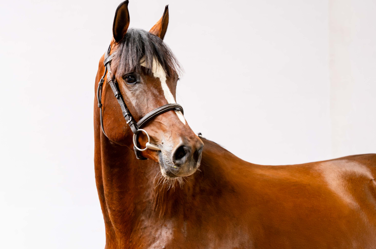 Foto BERENICE ENTREVERO