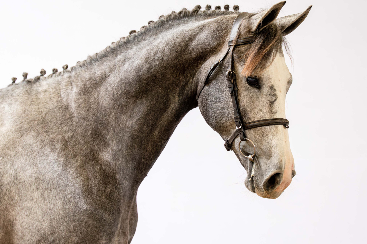 Foto DÁRIO ENTREVERO