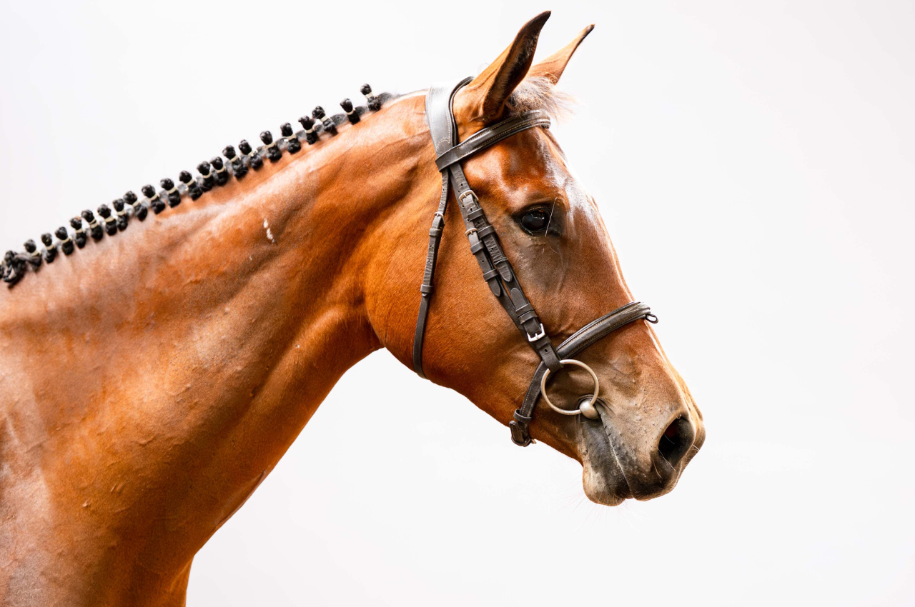 Foto DADIVA ENTREVERO