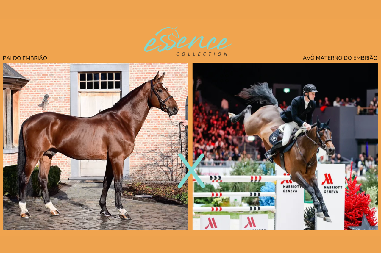 Foto DONT TOUCH TIJI HERO X WONDER TOUCH STM (UNITED TOUCH S)