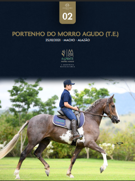 Foto PORTENHO DO MORRO AGUDO (T.E.)