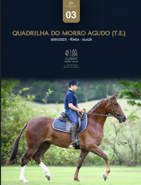 Foto QUADRILHA DO MORRO AGUDO (T.E.)