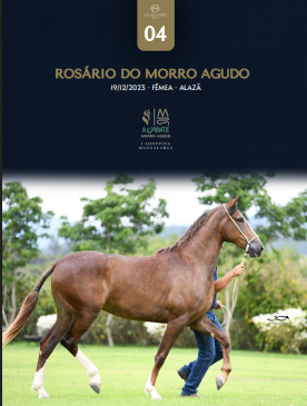 Foto ROSÁRIO DO MORRO AGUDO