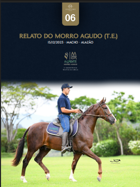 Foto RELATO DO MORRO AGUDO (T.E.)