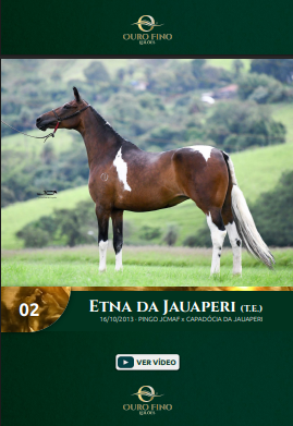 Foto ETNA DA JAUAPERI (T.E.)