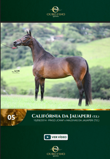 Foto CALIFÓRNIA DA JAUAPERI (T.E.)