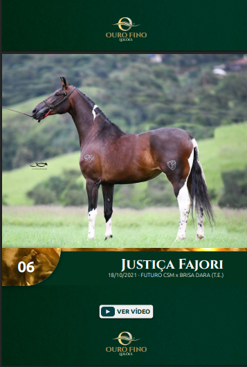 Foto JUSTIÇA FAJORI