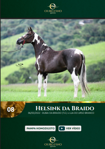 Foto HELSINK DA BRAIDO