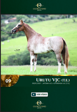 Foto URUTU VJC (T.E.)