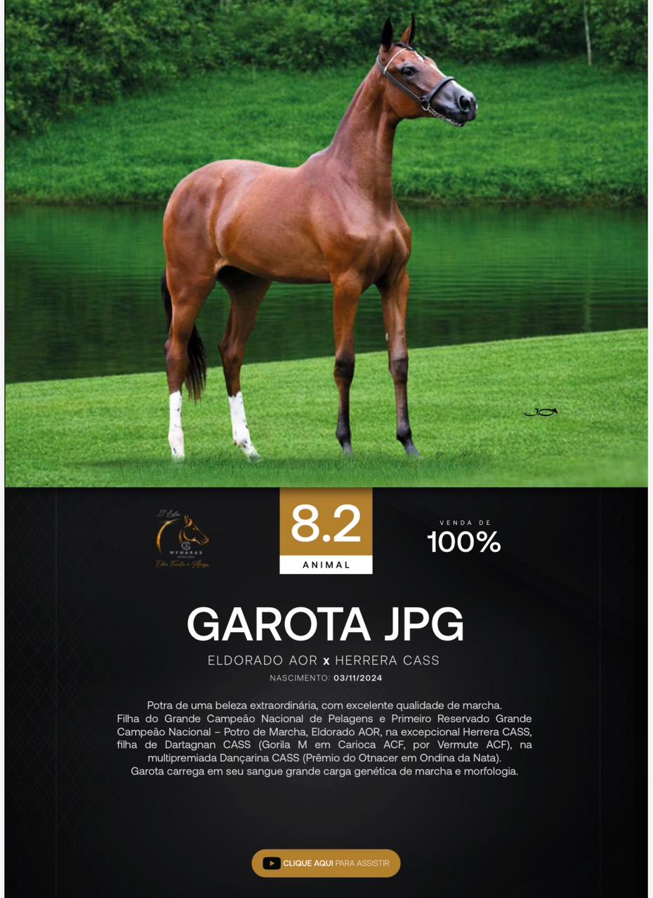 Foto (100.0%) GAROTA JPG