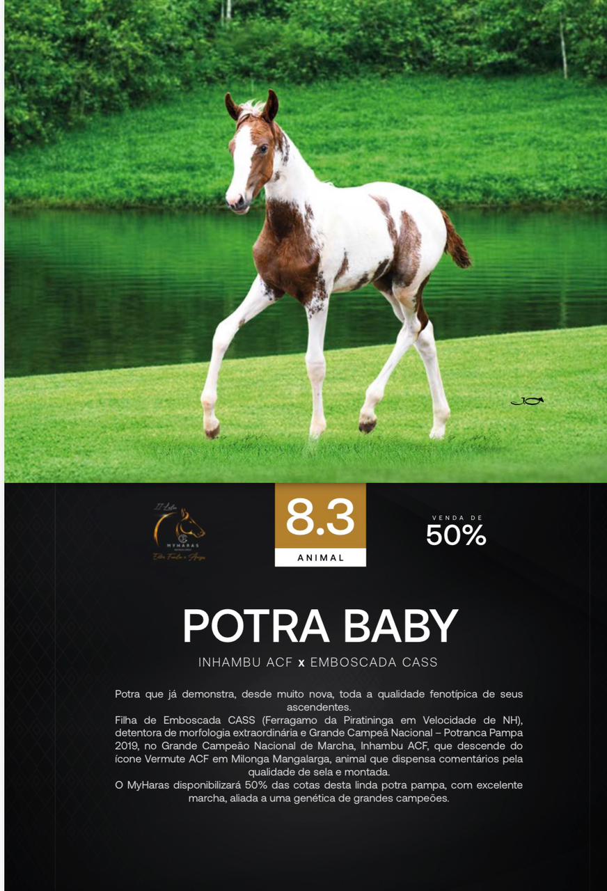 Foto (50.0%) POTRA BABY