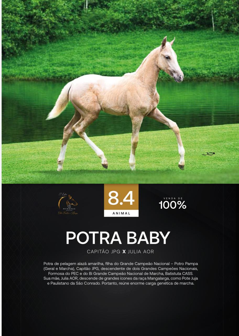 Foto (100.0%) POTRA BABY