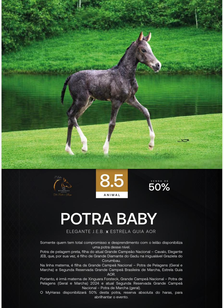 Foto (50.0%) POTRA BABY