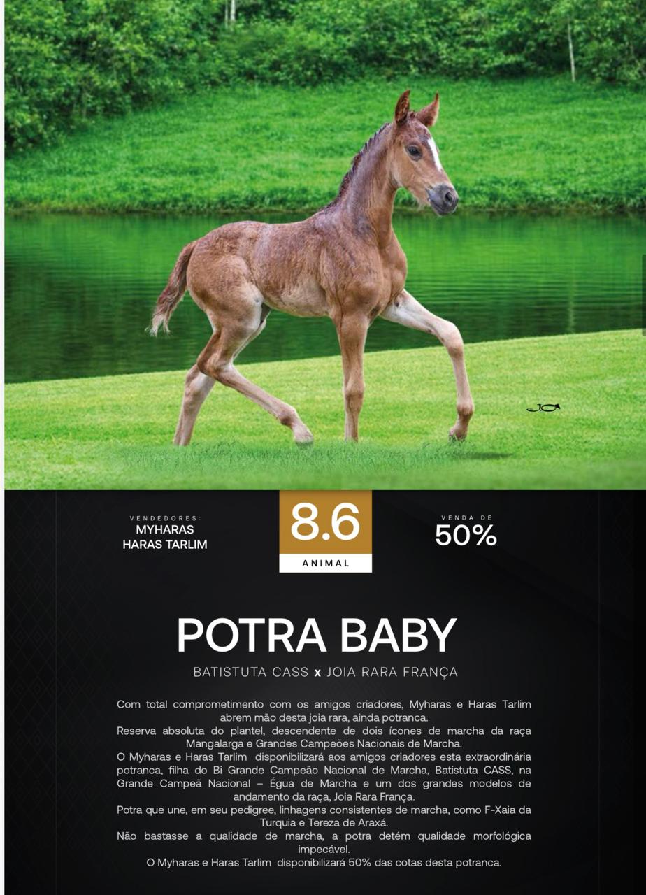 Foto (50.0%0 POTRA BABY