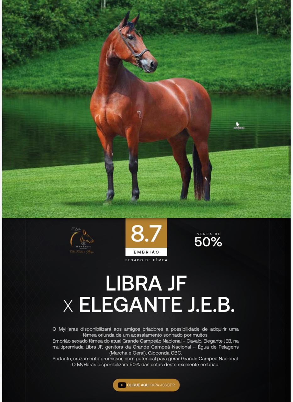 Foto (50.0%) EMBRIÃO SEXADO DE FÊMEA LIBRA JF X ELEGANTE J.E.B.