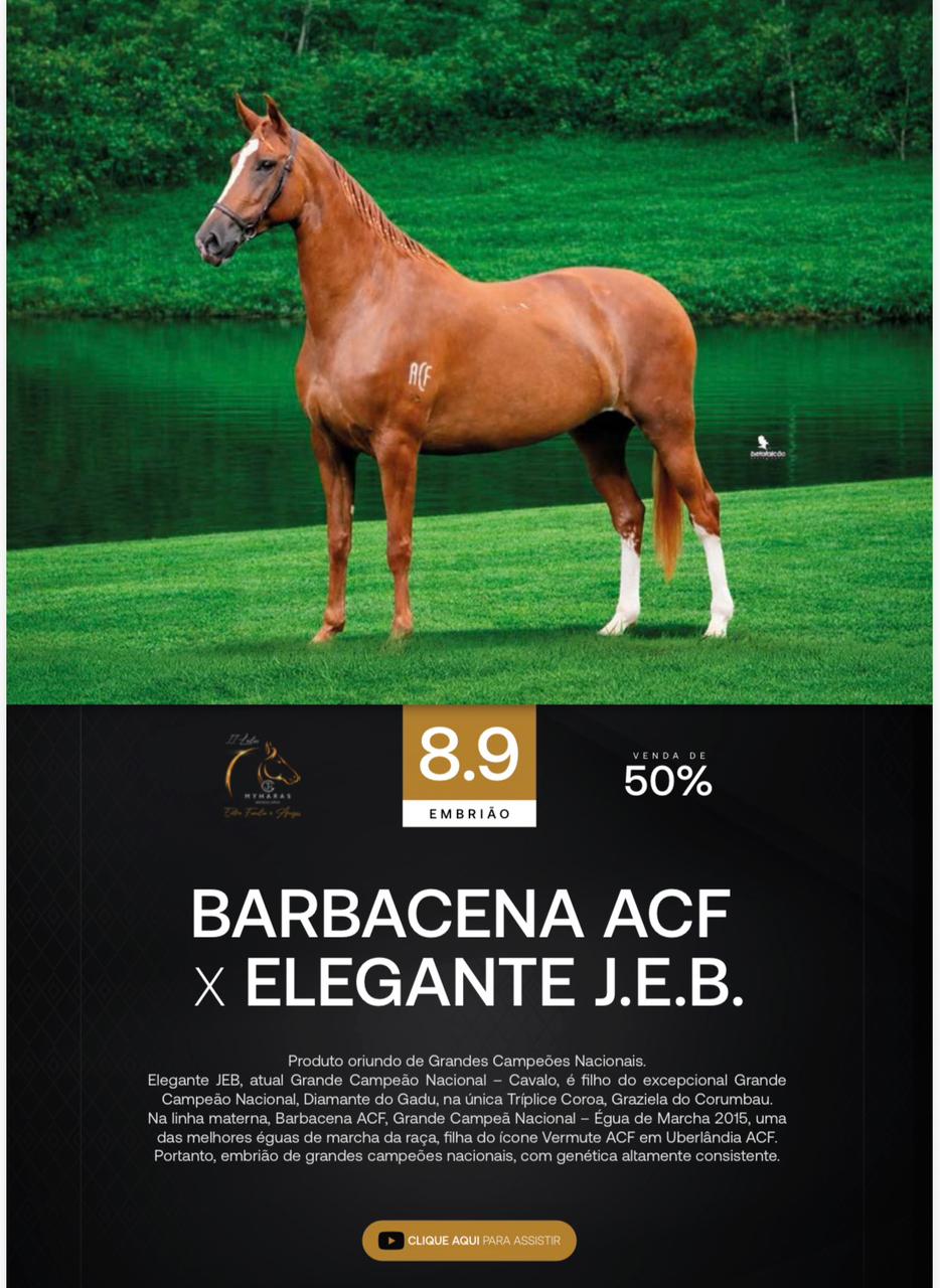 Foto (50.0%) EMBRIÃO (BARBACENA ACF X ELEGANTE J.E.B.)