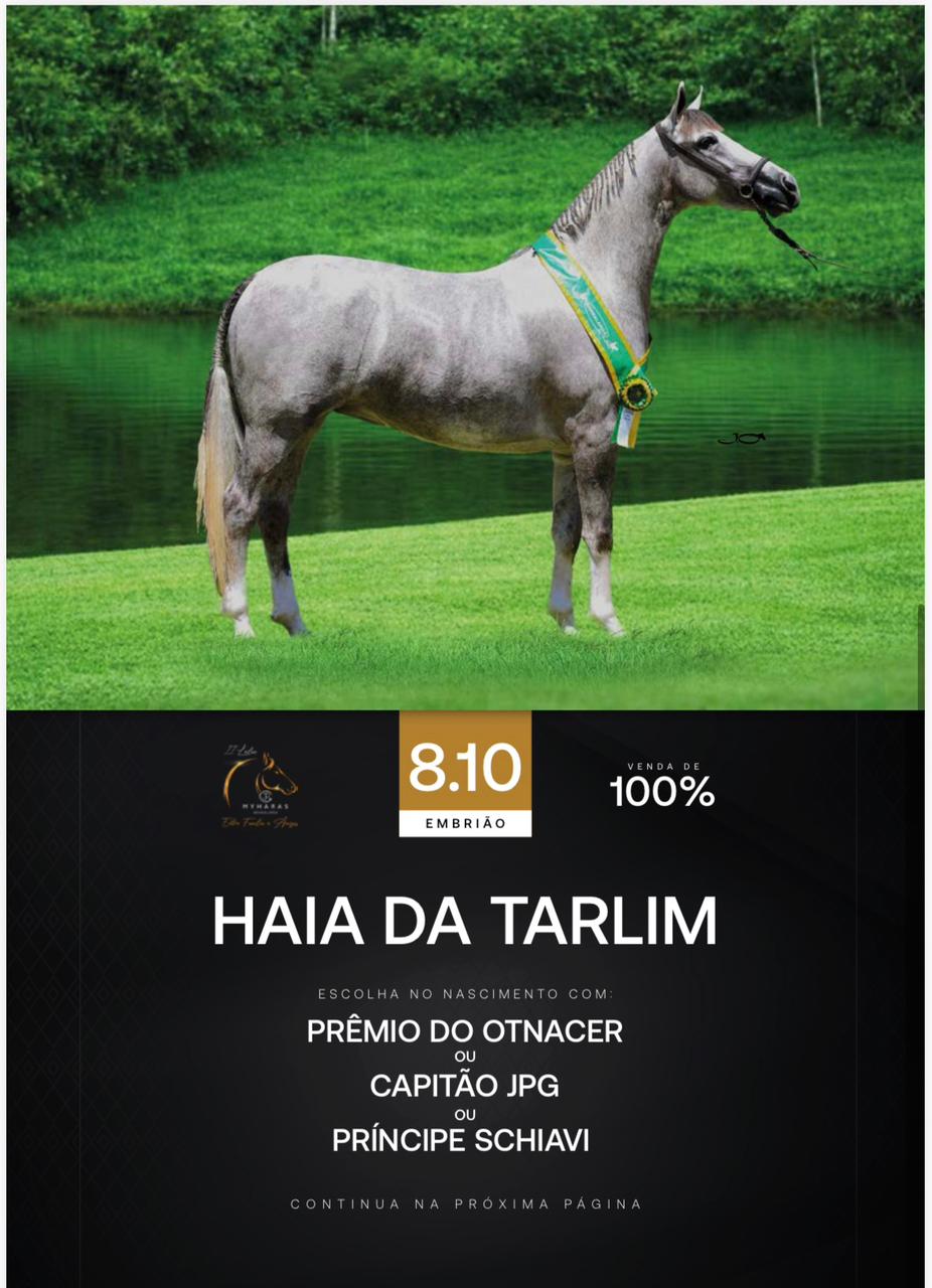 Foto (100.0%) EMBRIÃO  HAIA DA TARLIM X PRÊMIO DO OTNACER OU CAPITÃO JPG OU PRÍNCIPE SCHIAVI