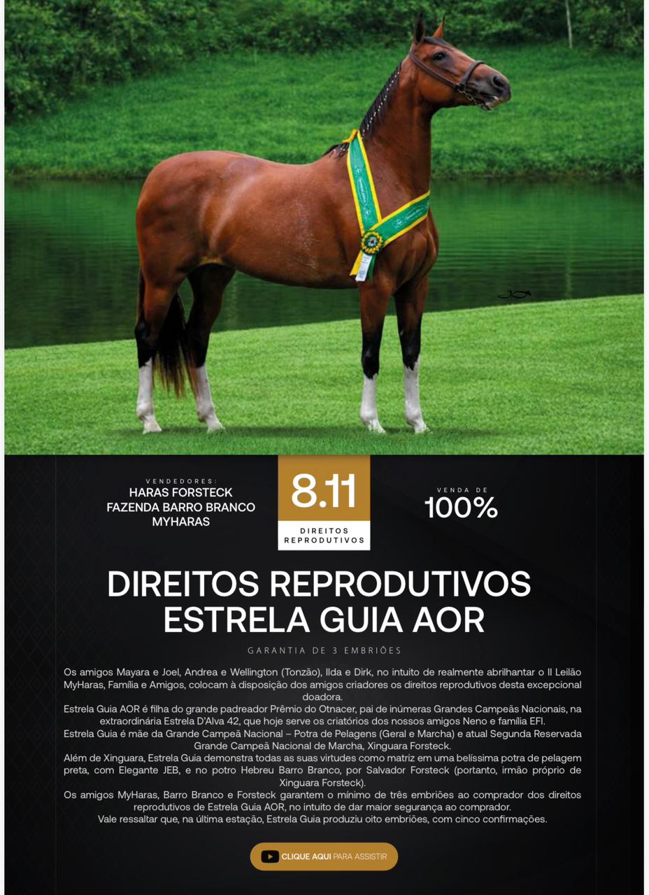 Foto (100.0%) DIREITOS REPRODUTIVOS ESTRELA GUIA AOR