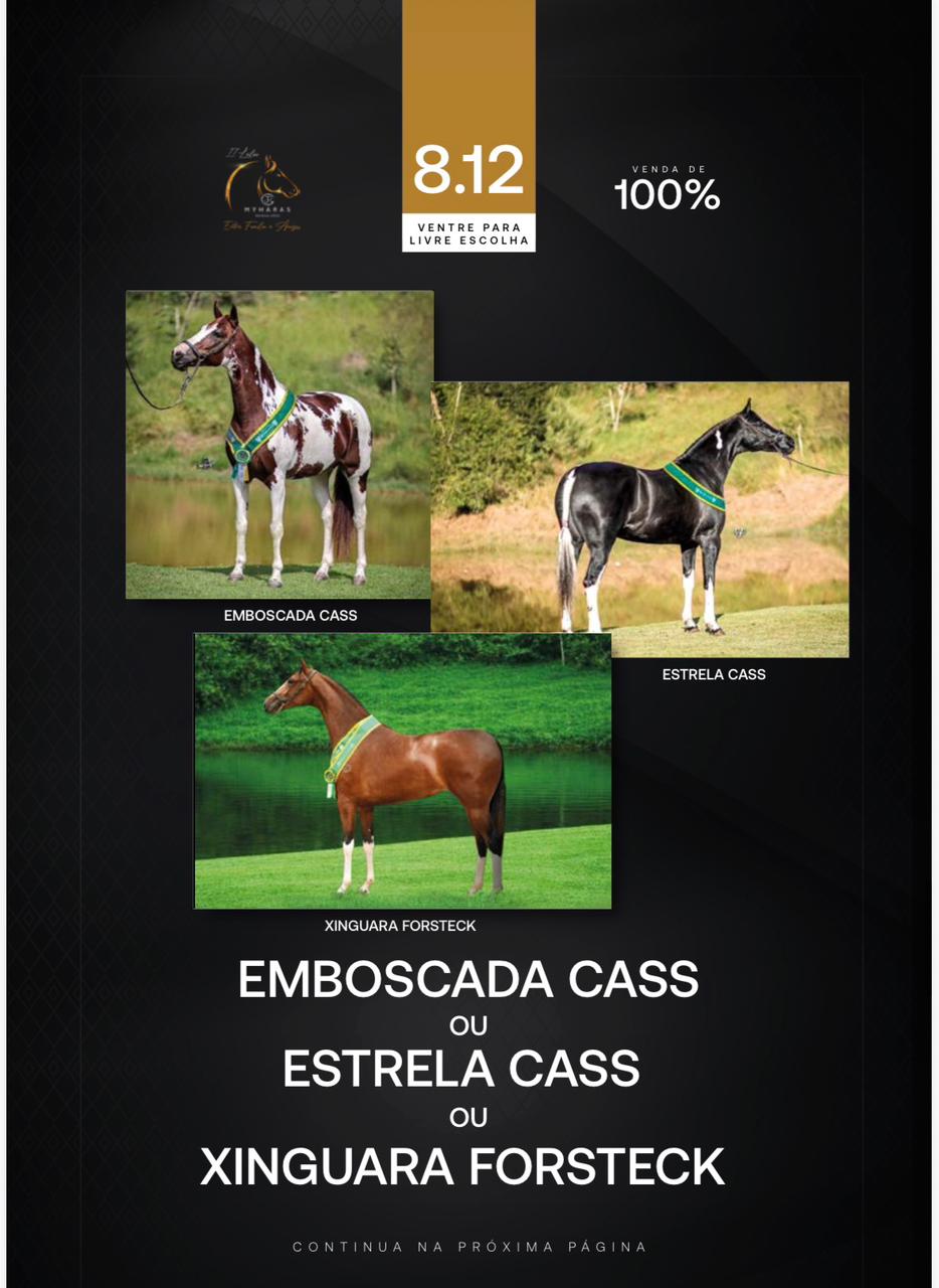 Foto (100.0%) VENTRE PARA LIVRE ESCOLHA EMBOSCADA CASS OU ESTRELA CASS OU XINGUARA FORSTECK