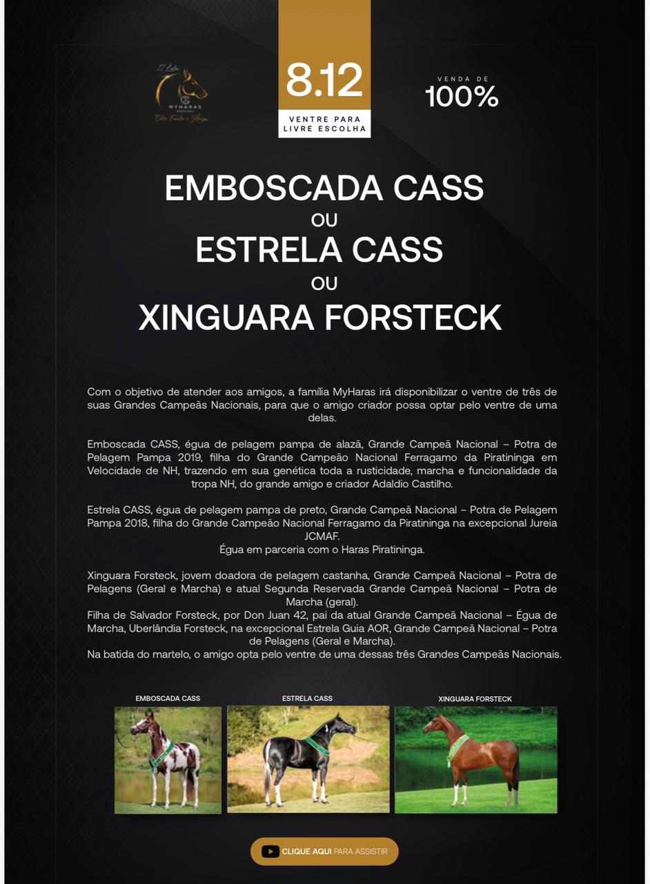 (100.0%) VENTRE PARA LIVRE ESCOLHA EMBOSCADA CASS OU ESTRELA CASS OU XINGUARA FORSTECK