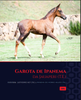 Foto (50.0%) GAROTA DE IPANEMA DA JAUAPERI (T.E.)