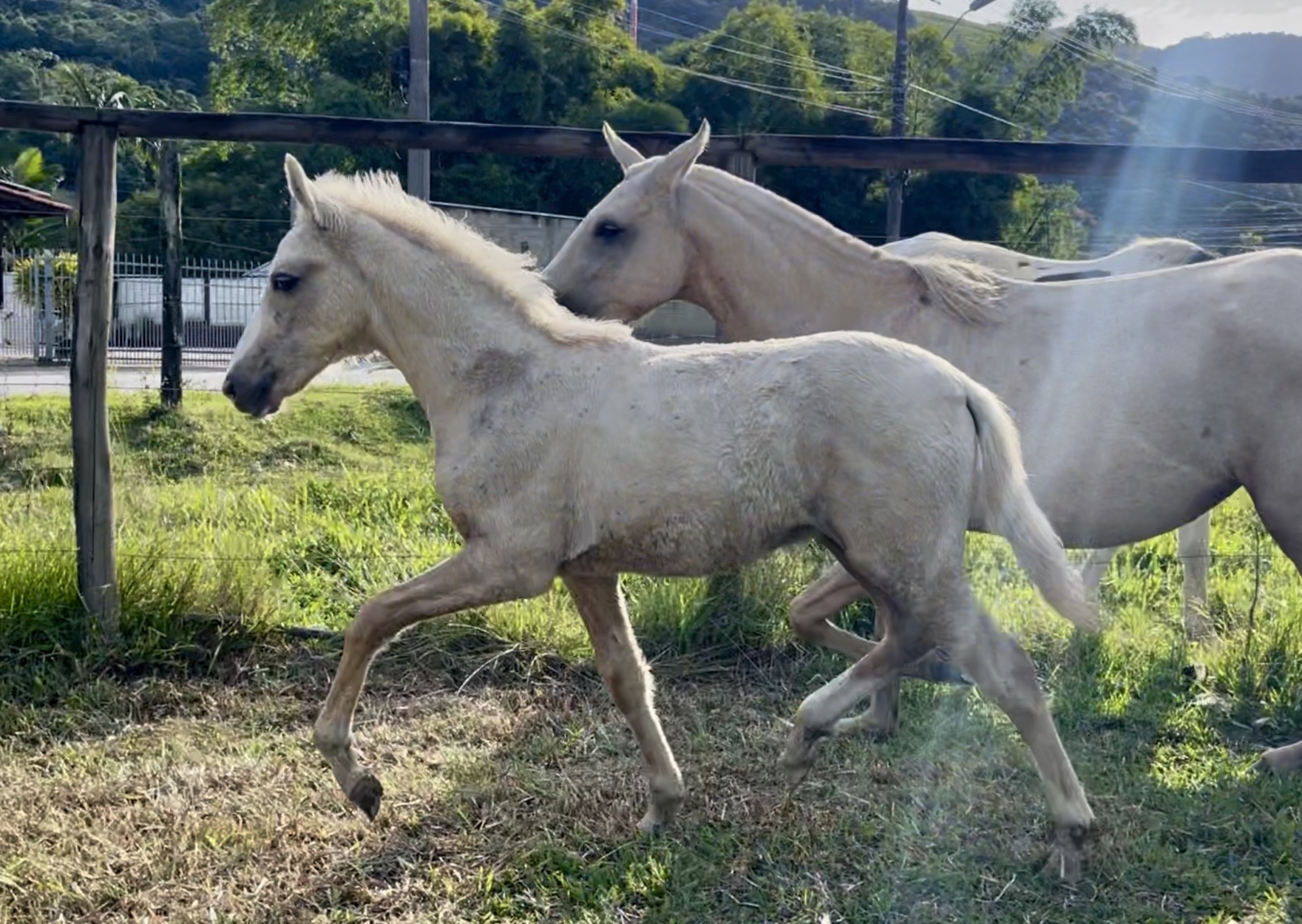 Foto FLECHA CENTRAL DO MARCHADOR