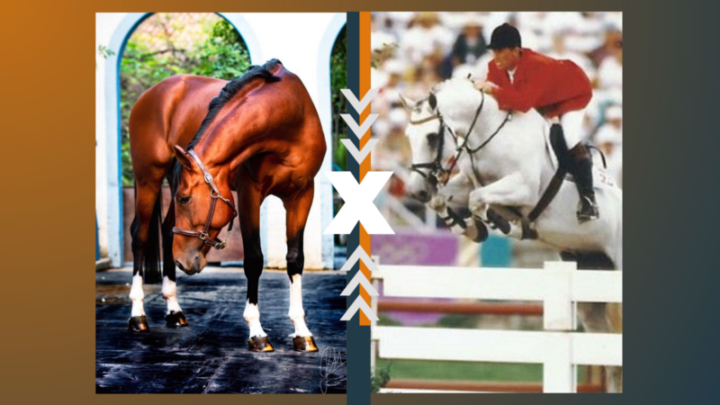 ONIX TW X CARTHAGO X HEARTBREAKER